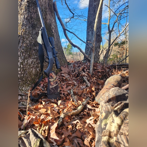 Meet your Posher, Ricky - Picture 1 of 1